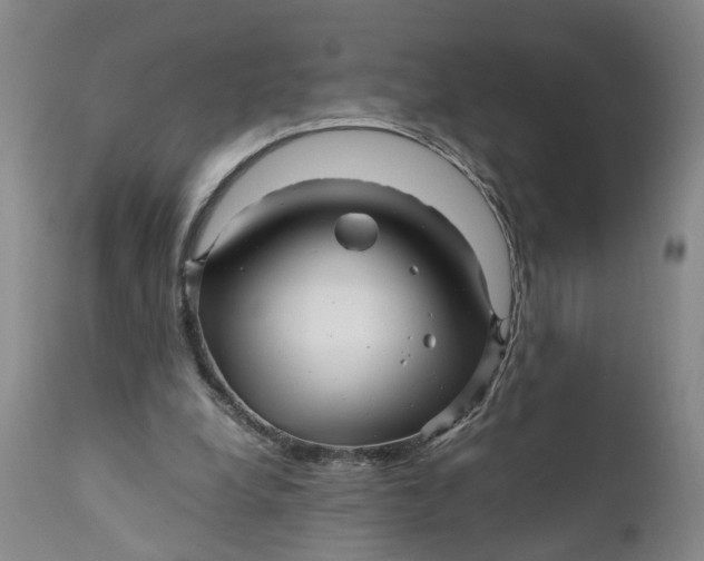 X0000111120248200907211056