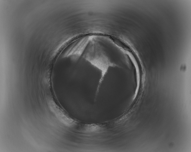 X0000111120249200907211056