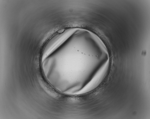 X0000111120250200907211056