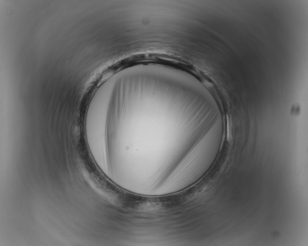 X0000111120252200907211056