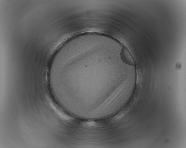 X0000111120253200907211056