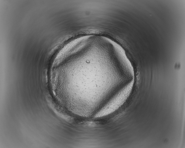 X0000111120254200907211056