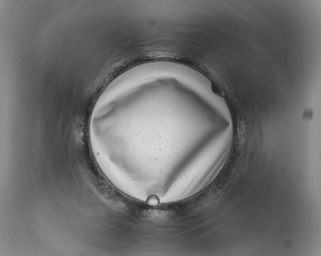 X0000111120255200907211056