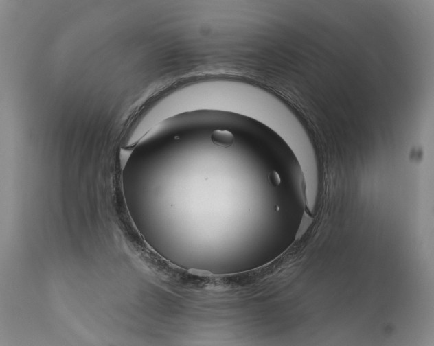 X0000111120256200907211056