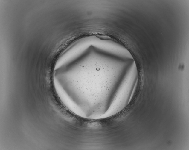 X0000111120258200907211056
