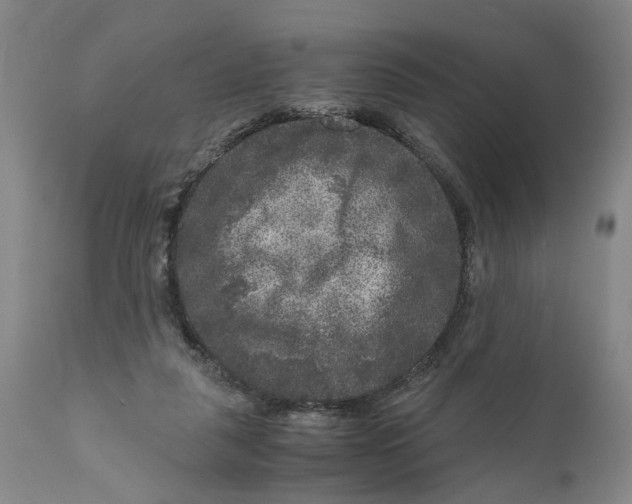 X0000111120259200907211056