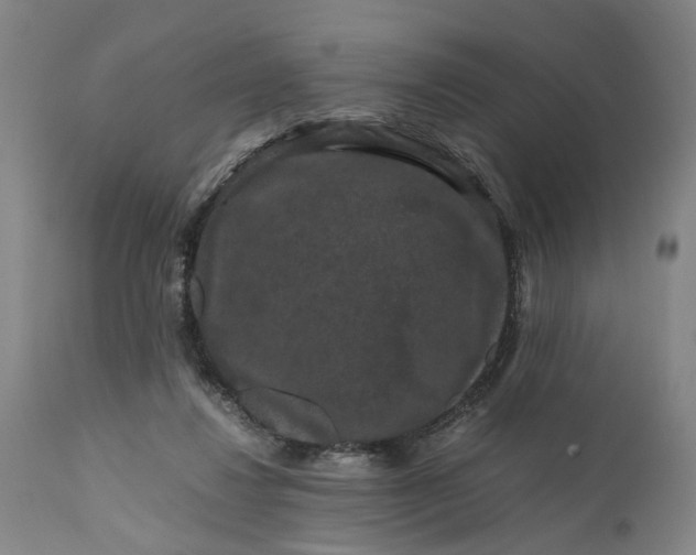 X0000111120260200907211057