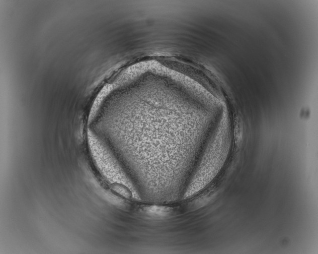 X0000111120261200907211057