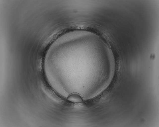X0000111120262200907211057