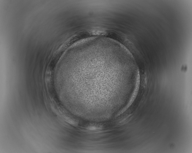 X0000111120263200907211057