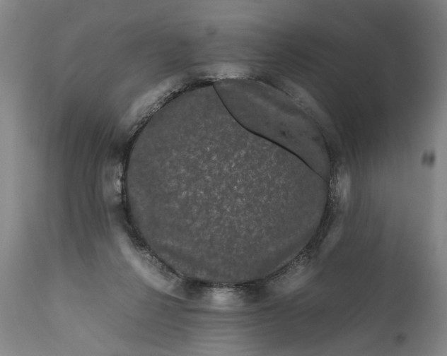 X0000111120264200907211057