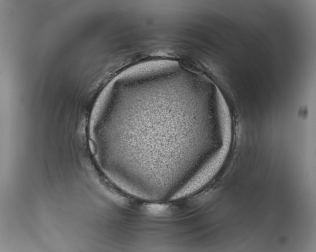 X0000111120265200907211057
