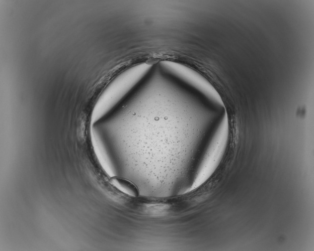 X0000111120266200907211057
