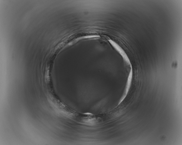 X0000111120267200907211057