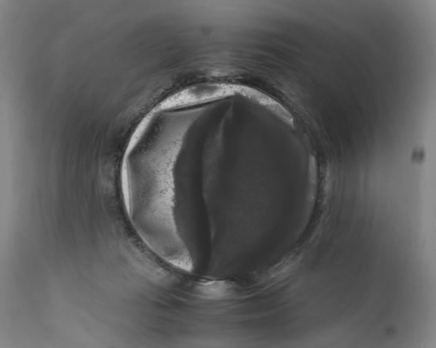 X0000111120269200907211057