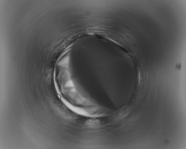 X0000111120271200907211057