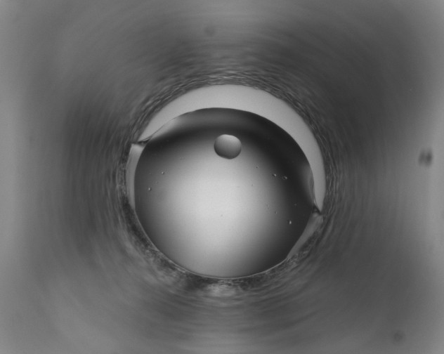 X0000111120272200907211057