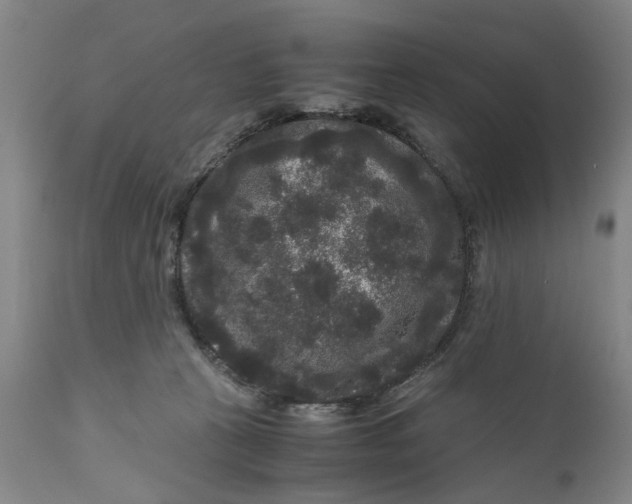X0000111120273200907211057