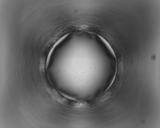 X0000111120274200907211057