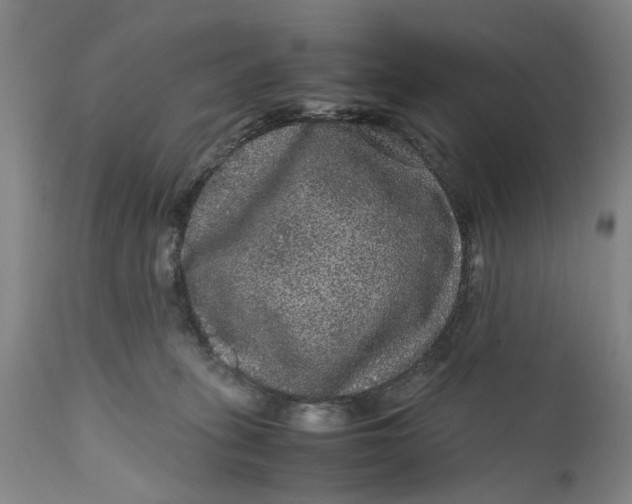X0000111120275200907211057
