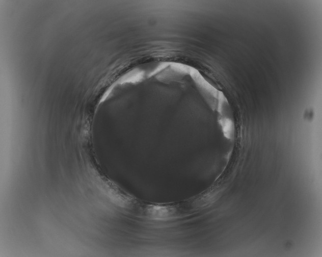 X0000111120277200907211057