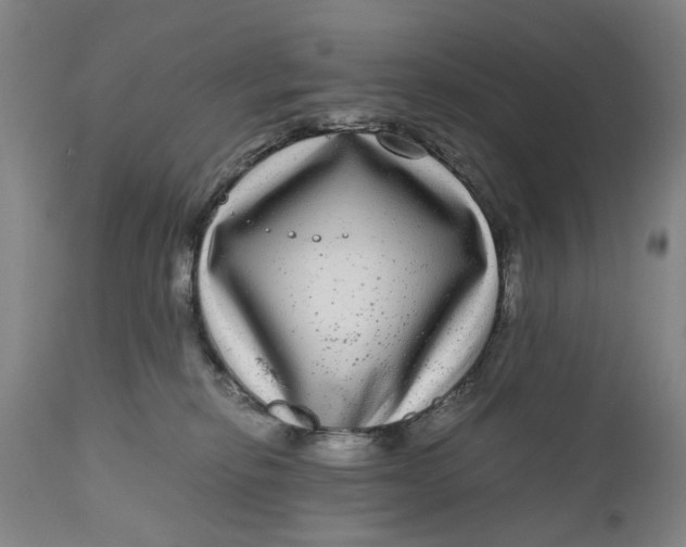 X0000111120278200907211057