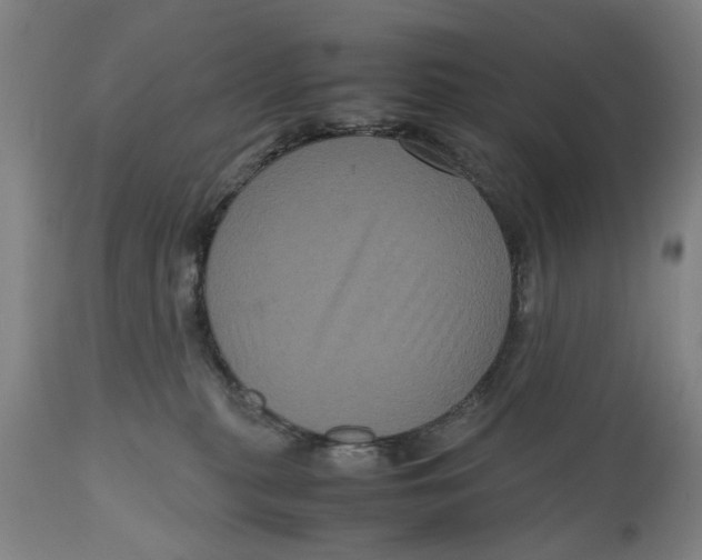 X0000111120279200907211057