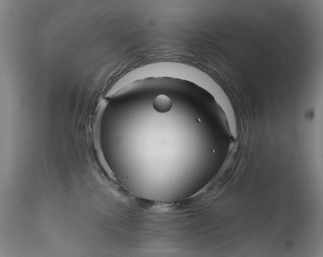 X0000111120280200907211057