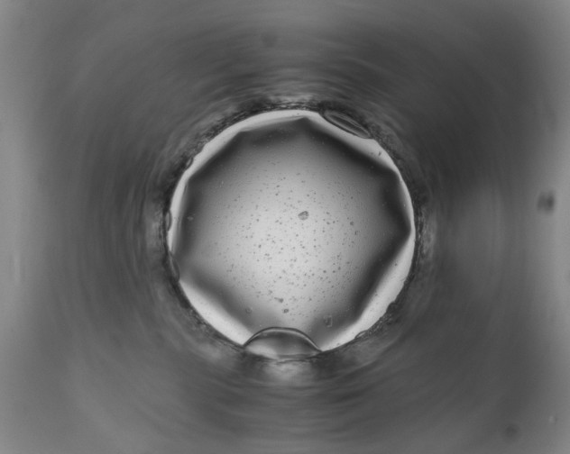 X0000111120283200907211057