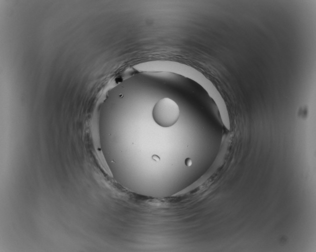 X0000111120284200907211057