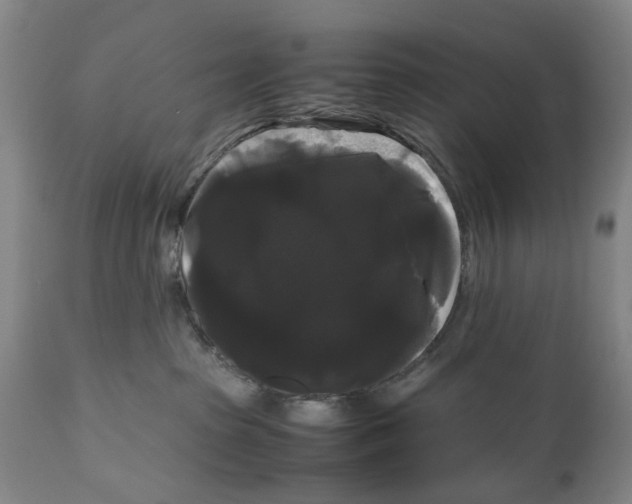 X0000111120285200907211057