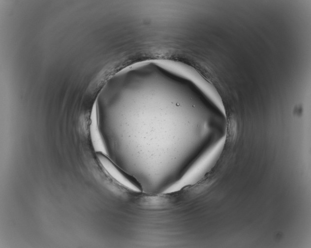 X0000111120286200907211057