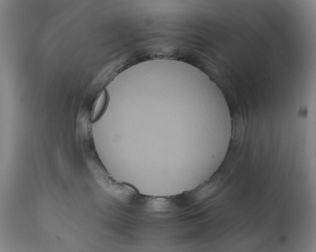 X0000111120287200907211057