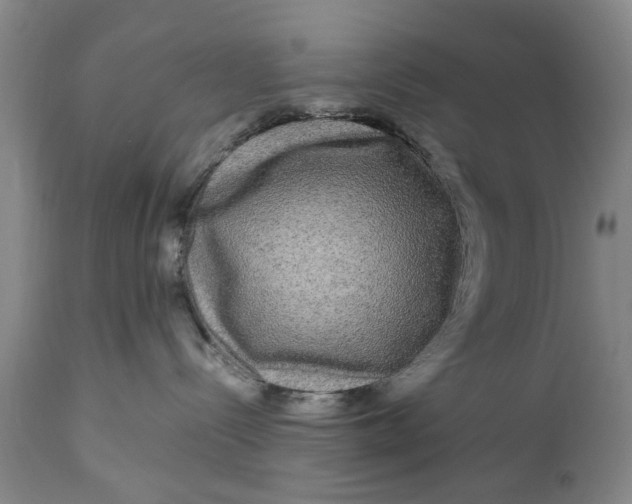 X0000111120288200907211057