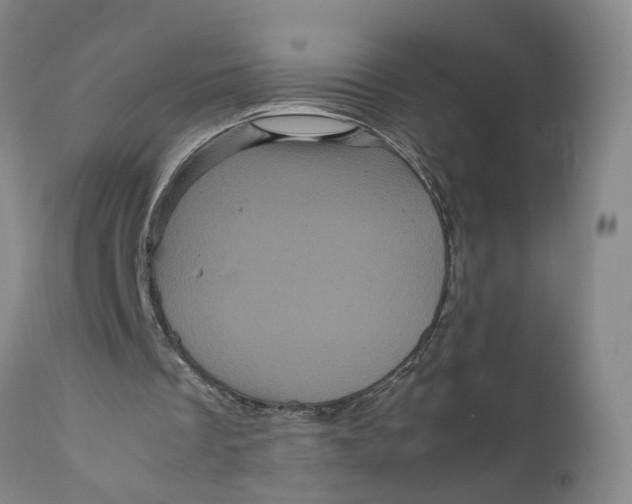 X0000111120289200907211056