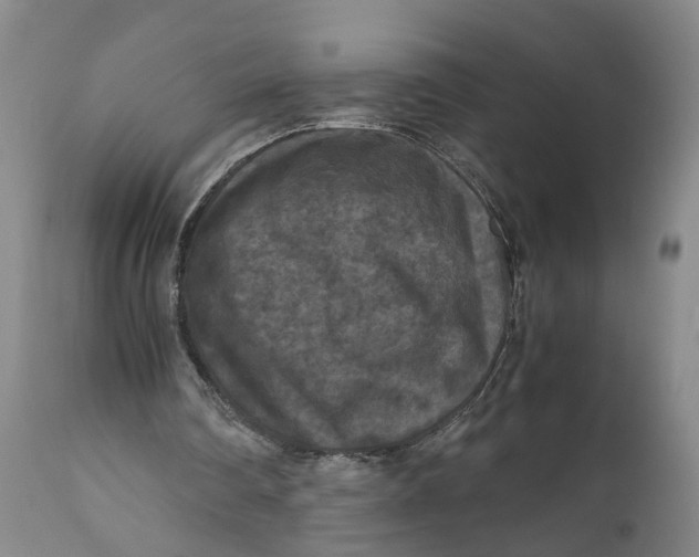 X0000111120290200907211056