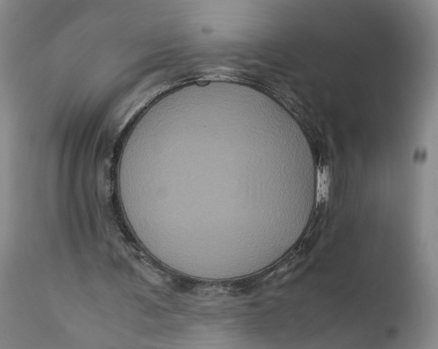 X0000111120291200907211056