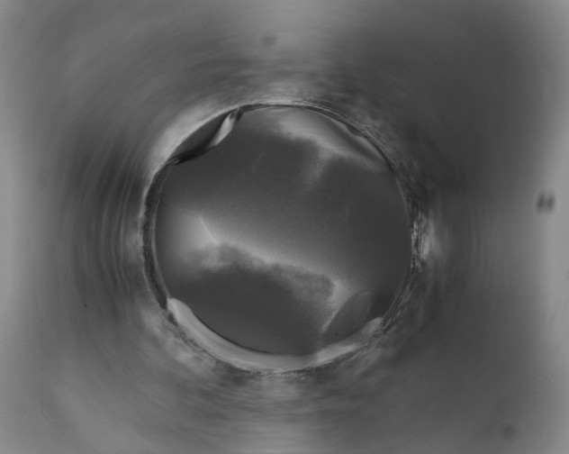 X0000111120292200907211056