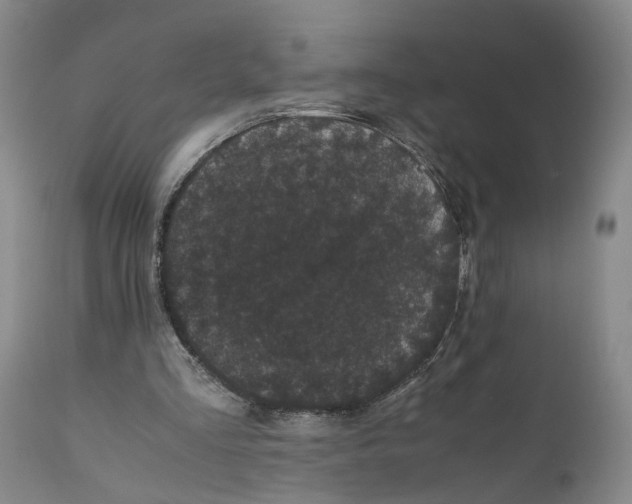 X0000111120293200907211056