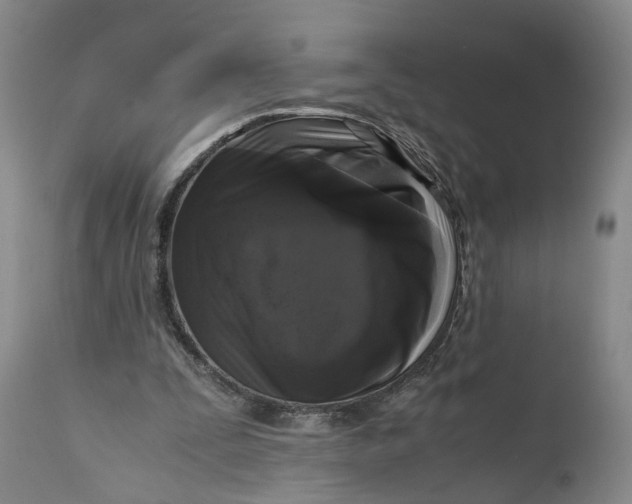X0000111120295200907211056