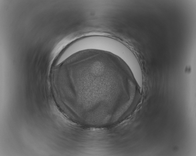 X0000111120296200907211056