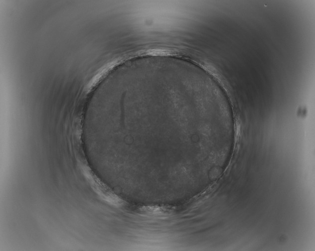 X0000111120297200907211056