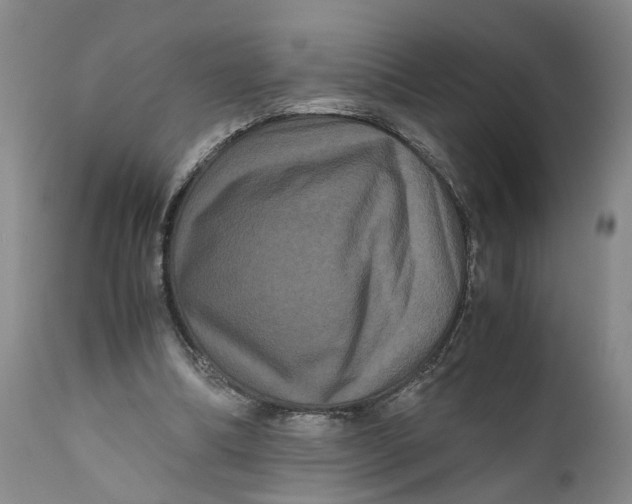 X0000111120298200907211056