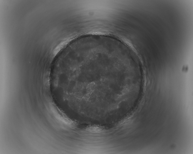 X0000111120299200907211056