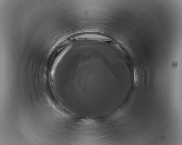 X0000111120300200907211056