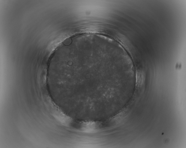 X0000111120301200907211056