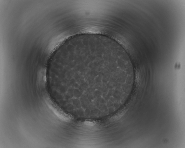 X0000111120302200907211056
