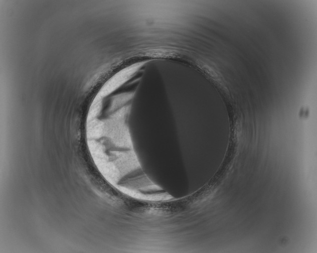 X0000111120303200907211056
