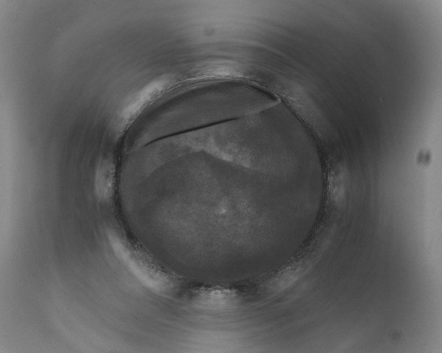 X0000111120304200907211056