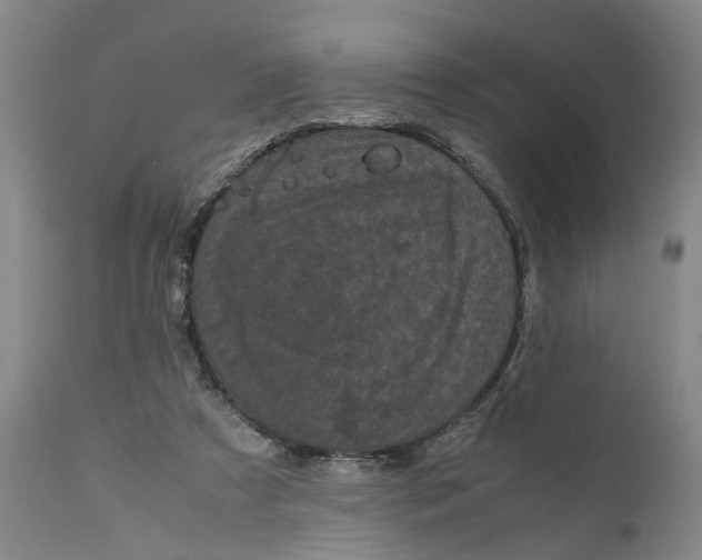 X0000111120305200907211056